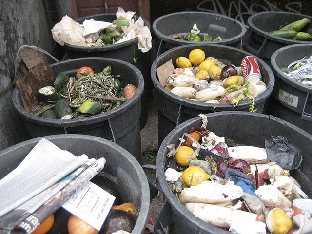 Food-Waste